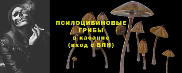 стаф Нягань