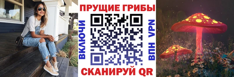 Галлюциногенные грибы прущие грибы  Советский 