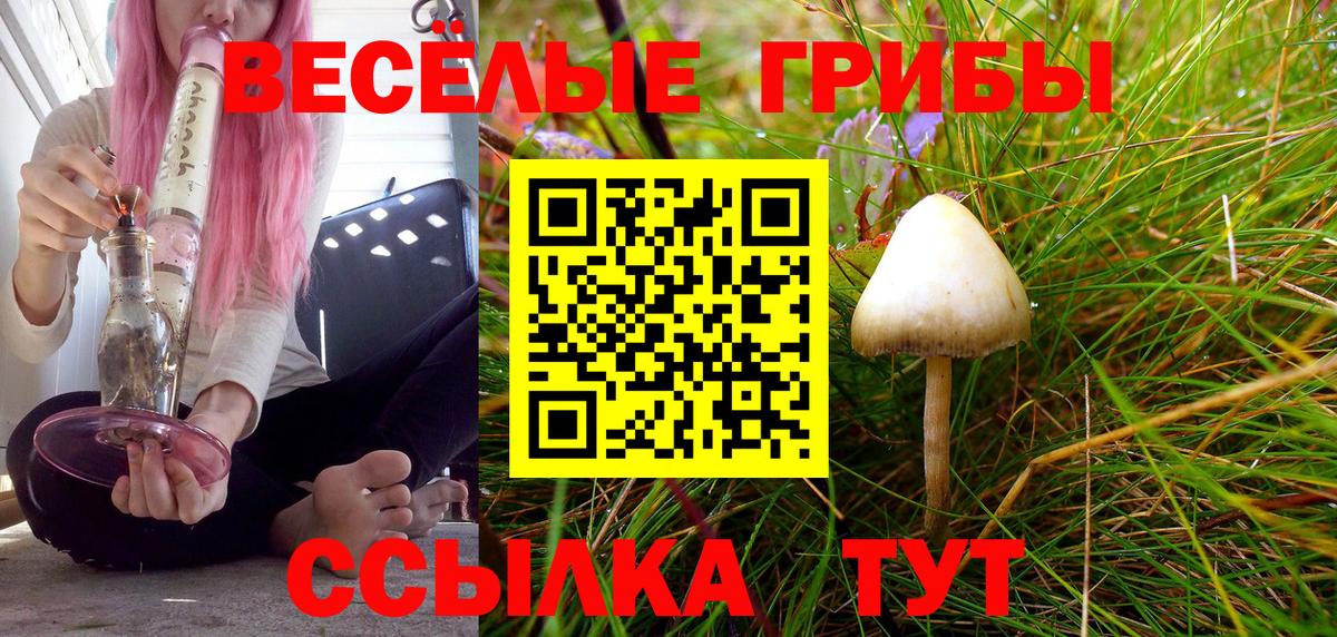 Псилоцибиновые грибы GOLDEN TEACHER  Псилоцибиновые грибы мицелий  Советский  Вход с VPN 